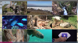 Related Videos via Tags