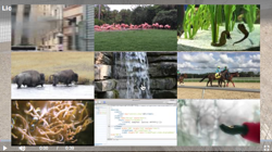 Related Videos via Tags