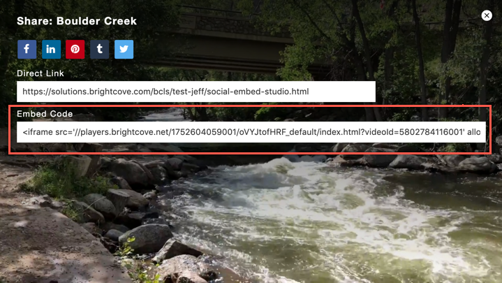 Social Media Embed Code