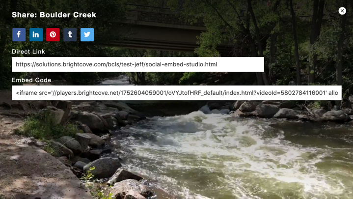 Social Media Share Interface