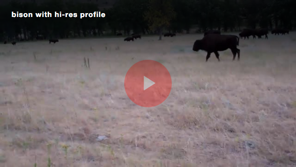 styles-background-working